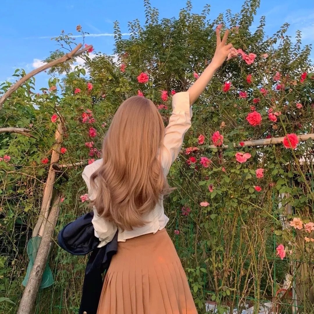 碧丽莎的情人
